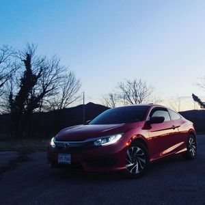 Meet your Posher, Trevor